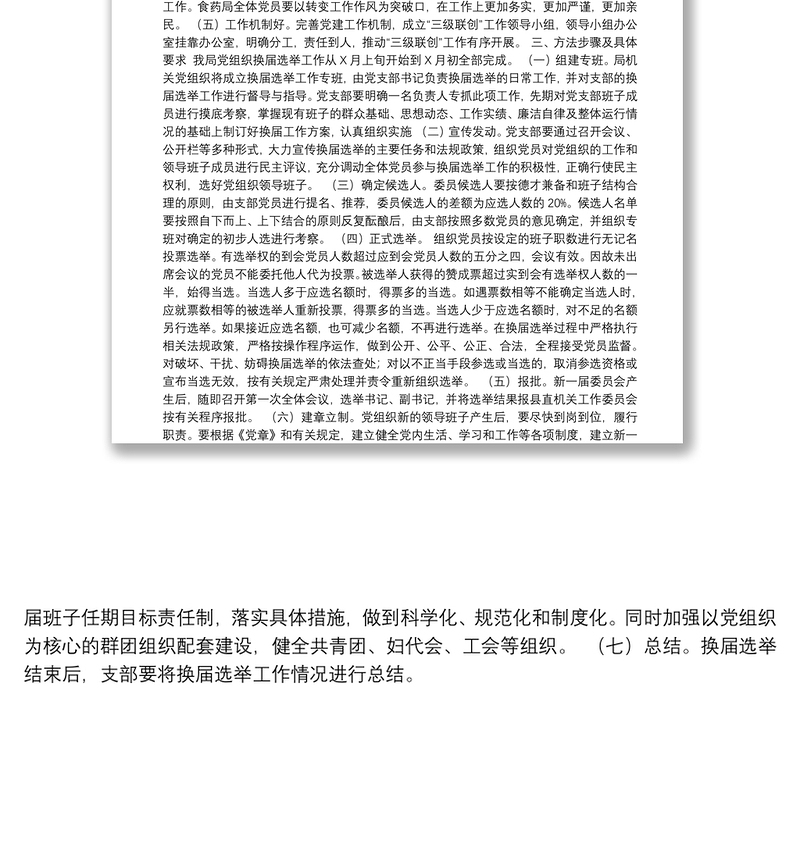 08-X县食药局党支部换届选举工作实施方案