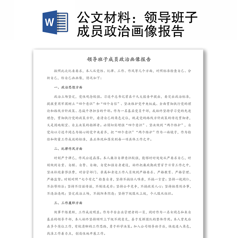 公文材料:领导班子成员政治画像报告