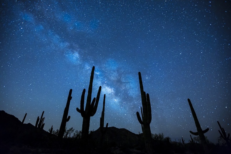 银河星星夜天空景观沙漠仙人掌山景区图片免费下载 自然风景素材免费下载 办图网