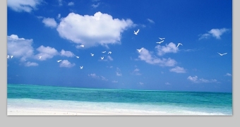 大海 海鸥蓝天白云高清背景图片