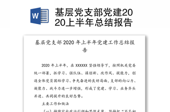 基层党支部党建2020上半年总结报告