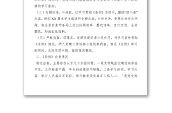 2021《中国共产党支部工作条例（试行）》自查整改报告