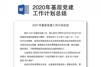 2020年基层党建工作计划总结