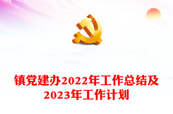 2023党建综合科总结