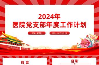 2024医院党支部工作计划PPT大气简洁新年党建计划模板