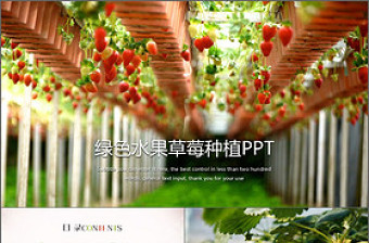 绿色水果草莓种植大棚草莓ppt模板