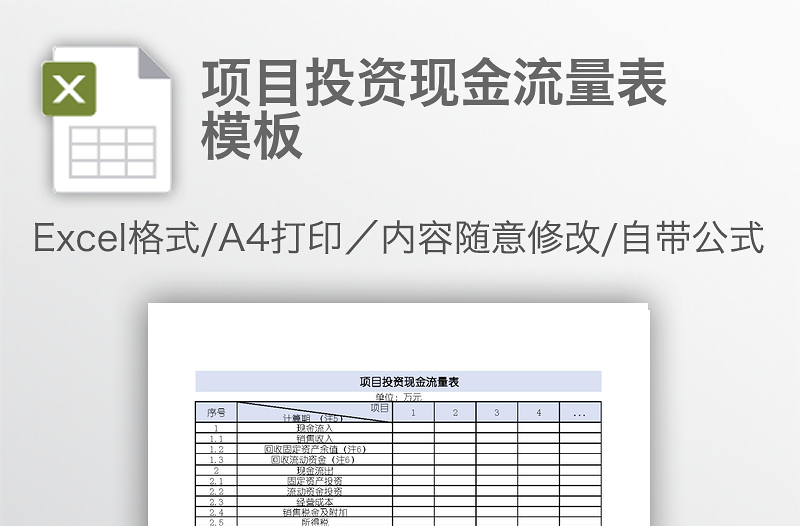 项目投资现金流量表模板