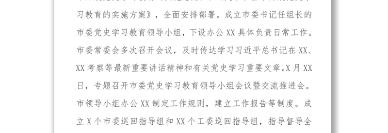 202X学习贯彻“七一”讲话精神工作情况报告