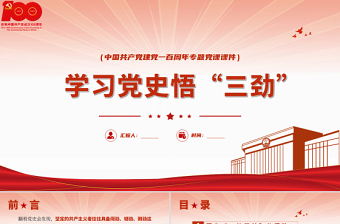 2021红色简约党建风百年恰是风华正茂庆祝中国共产党建党百年PPT