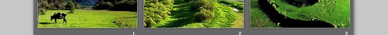 四张精美绿色大自然生态PPT背景图片