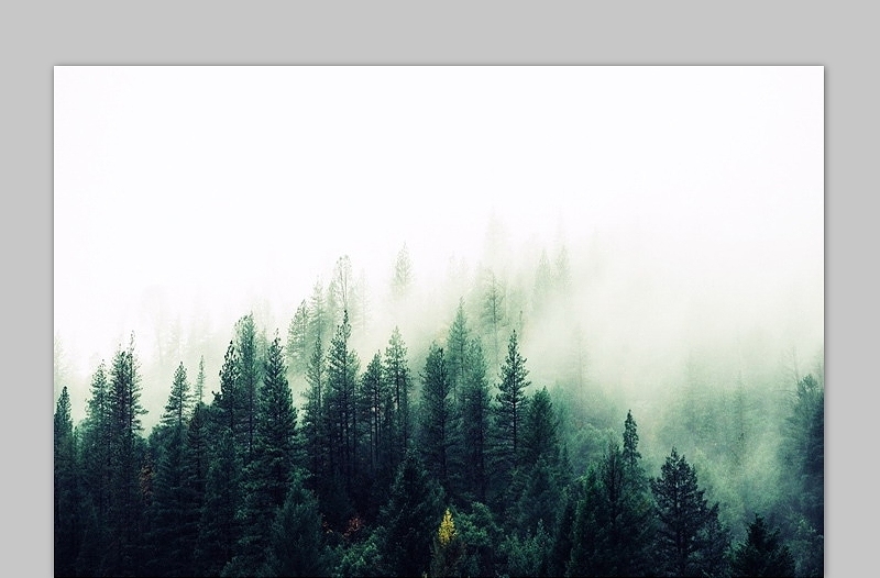 雾气笼罩的森林PPT背景图片