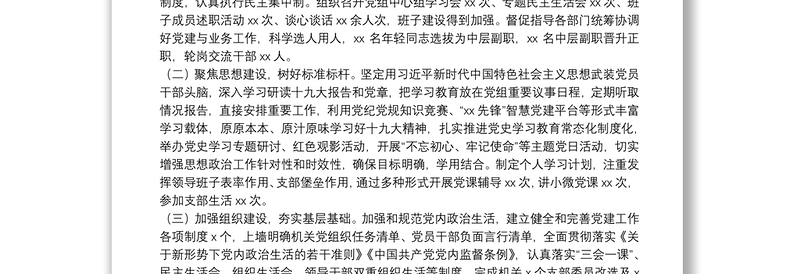 X县税务局党委书记党建工作述职报告