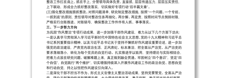 关于党员干部作风纪律突出问题专项整治行动总结报告