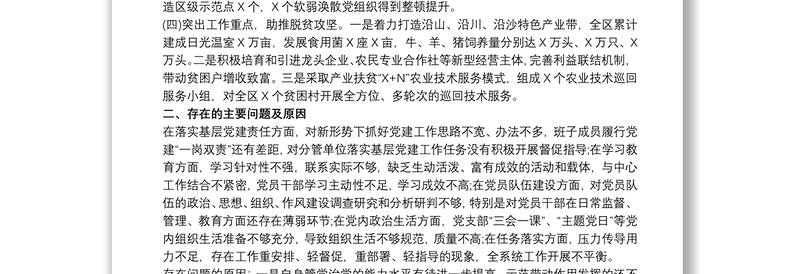 20xx年税务局党委党组书记抓基层党建工作述职报告