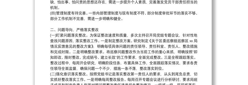 关于党组织主要负责人组织落实巡察整改情况报告