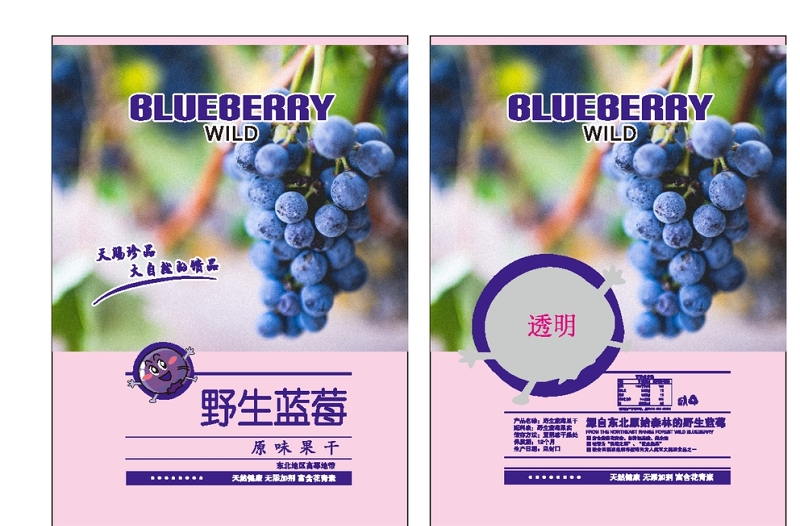简洁大气新鲜蓝莓包装盒礼盒设计模板水果包装盒模板