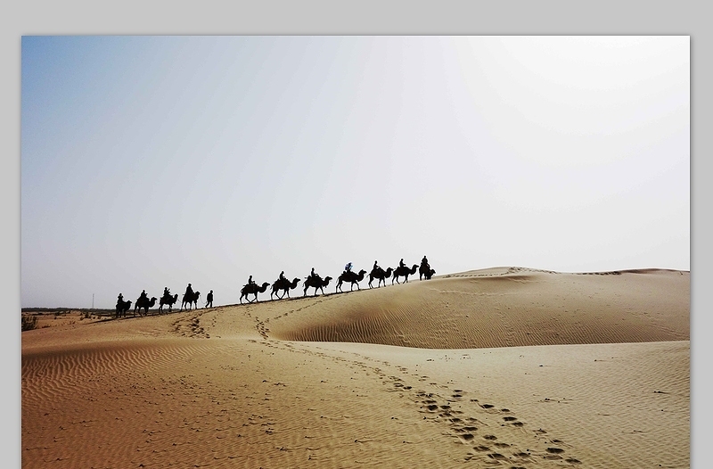 沙漠驼队ppt图片