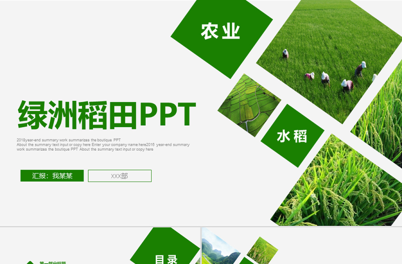 原创绿色农田稻田水稻梯田绿洲农业生产PPT模板-版权可商用