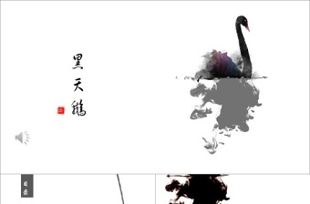 中国风黑天鹅