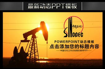 中国石化7s管理报告ppt