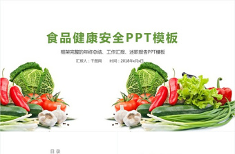 蔬菜配送文档PPT