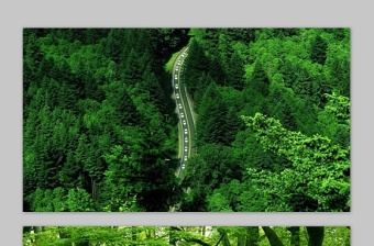 三张绿色森林PPT背景图片