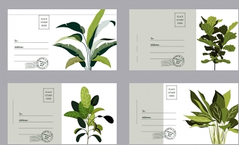 绿色植物明信片图片
