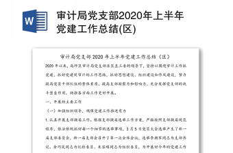 审计局党支部2020年上半年党建工作总结(区)