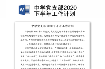 中学党支部2020下半年工作计划