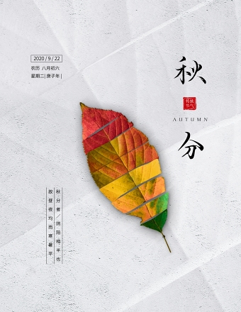 简约彩色树叶一叶知秋秋分节气海报设计图片