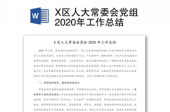 x区人大常委会党组2020年工作总结