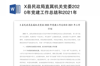 X县民政局直属机关党委2020年党建工作总结和2021年工作计划