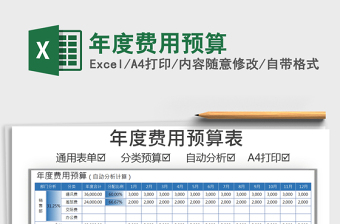 2021年年度费用预算免费下载