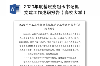 2020年度基层党组织书记抓党建工作述职报告（高校大学）