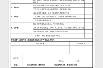 2021年员工试用期工作表现评估表