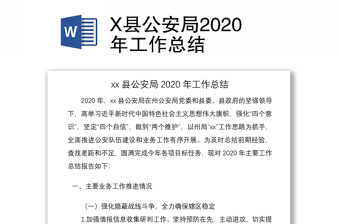 x县公安局2020年工作总结
