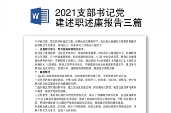 2021支部书记党建述职述廉报告三篇