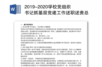 2019-2020学校党组织书记抓基层党建工作述职述责总结报告