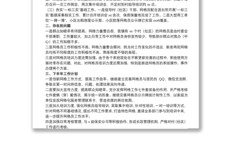 2021乡镇流管办、综治中心（含网格中心）20xx年上半年工作总结及下半年工作计划