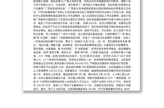 凌云县人民政府2020年政府工作报告