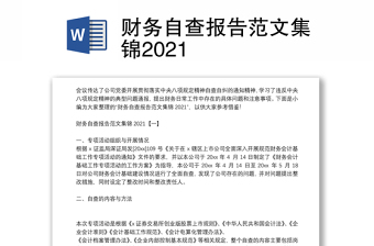 财务自查报告范文集锦2021