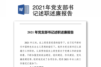 2023支部书记报告审查报告说明
