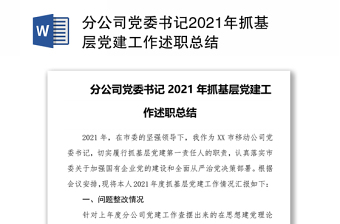 分公司党委书记2021年抓基层党建工作述职总结