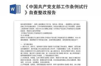 《中国共产党支部工作条例试行》自查整改报告