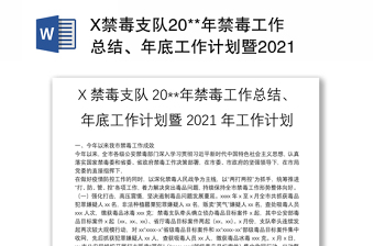 X禁毒支队20**年禁毒工作总结、年底工作计划暨2021年工作计划