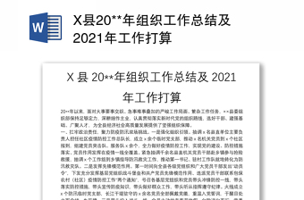 X县20**年组织工作总结及2021年工作打算