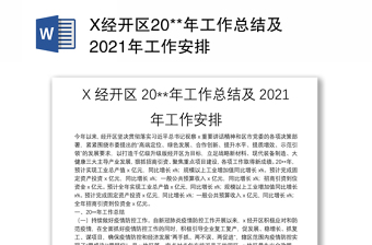 X经开区20**年工作总结及2021年工作安排