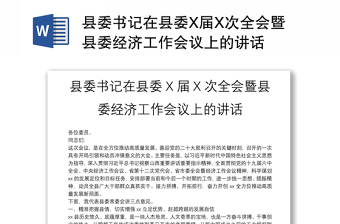 x县委书记在反腐败协调领导小组的讲话