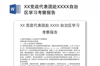 XX党政代表团赴XXXX自治区学习考察报告