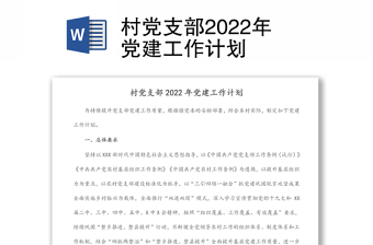 2023村党支部强党性活动小结